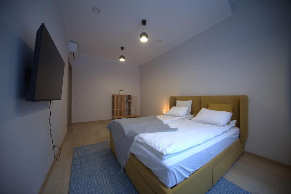 3 Bedroom In The Old/t Apartment Riga